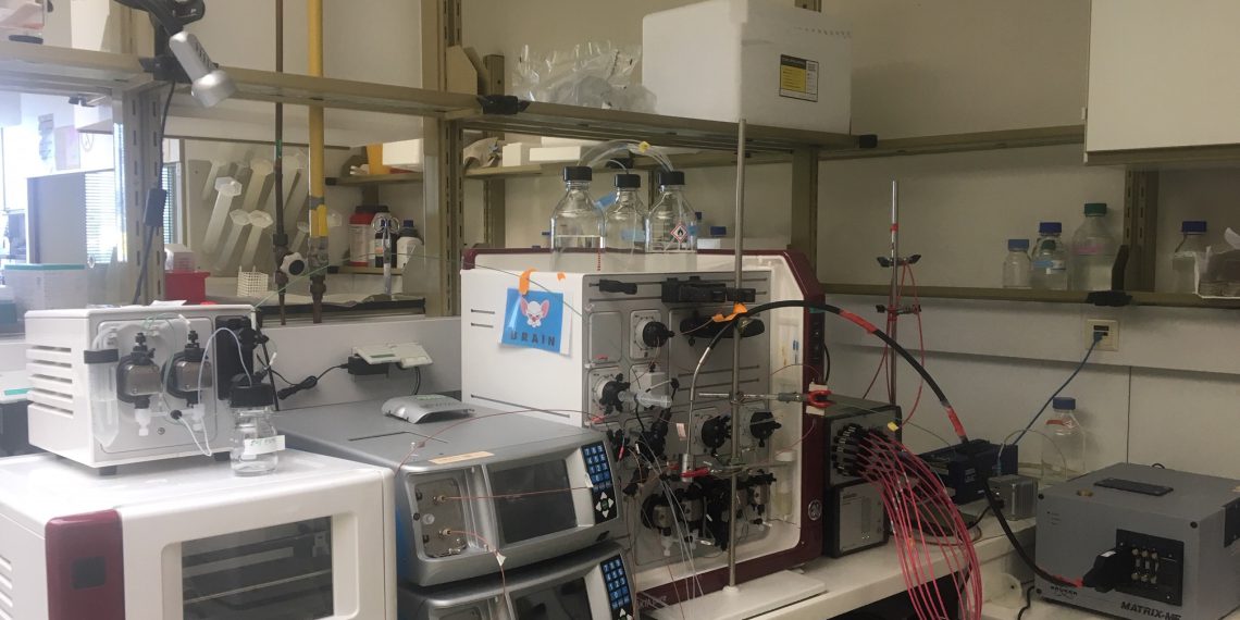 Echtzeitkontrolle von Aufreinigungsprozessen Acib