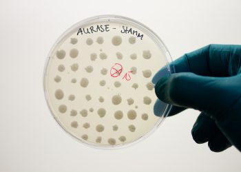 SolasCure Ltd. wird Medizinprodukte vermarkten, die auf dem neuen von der Brain AG entwickelten enzymatischen Wirkstoff Aurase beruhen.