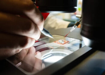 Wirkstoffforschung und künstliche Intelligenz