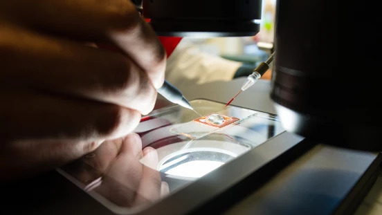 Wirkstoffforschung und künstliche Intelligenz