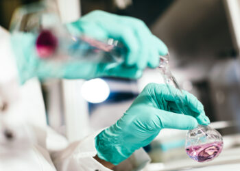 Skalierbarkeit und Kontinuität sichergestellt