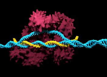 Merck erhält in Australien Patent für CRISPR-Nickasen für grundlegende Genomeditierungstechnologie