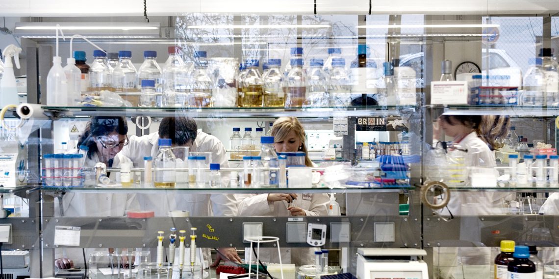 Laboransicht Brain