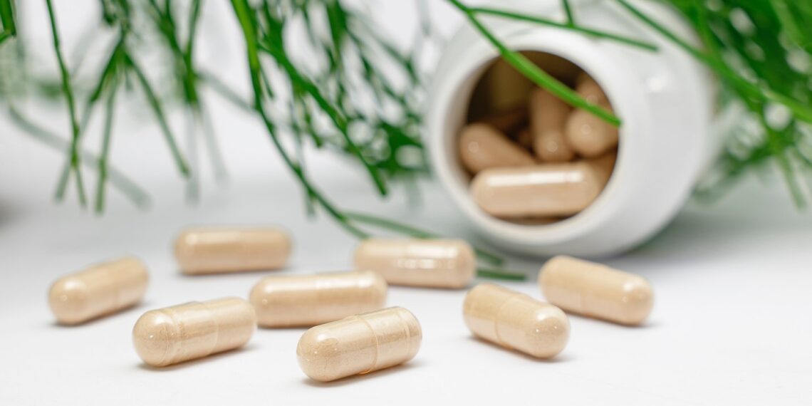 Verpackungslösungen mit Tradition und Zukunft