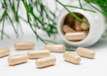 Verpackungslösungen mit Tradition und Zukunft