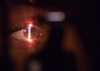 Partnerprogramm zur biometrischen Authentifizierung