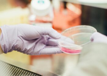 Deutschlands Pharmaforschung verbessern