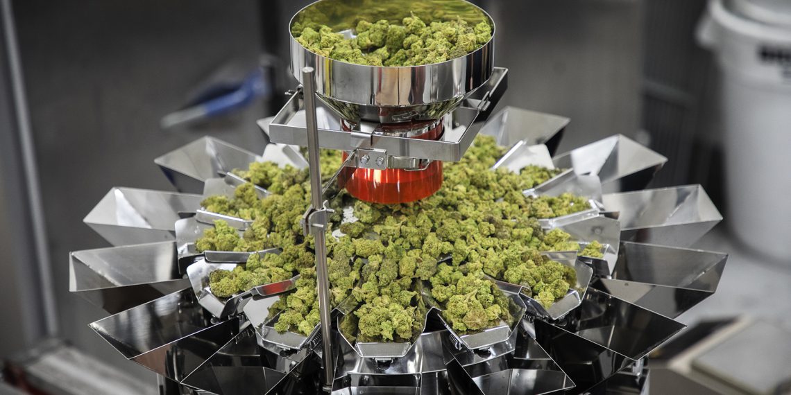 Ishida Pharmazeutisches Cannabis präzise abfüllen