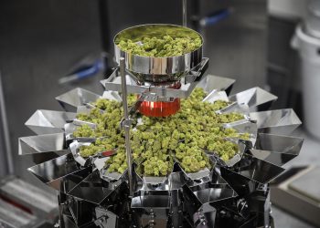 Ishida Pharmazeutisches Cannabis präzise abfüllen