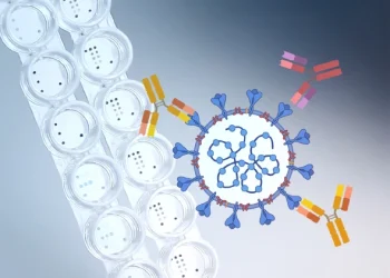 Microarray prüft Impfstatus für Corona, Masern, Diphterie und Tetanus gleichzeitig